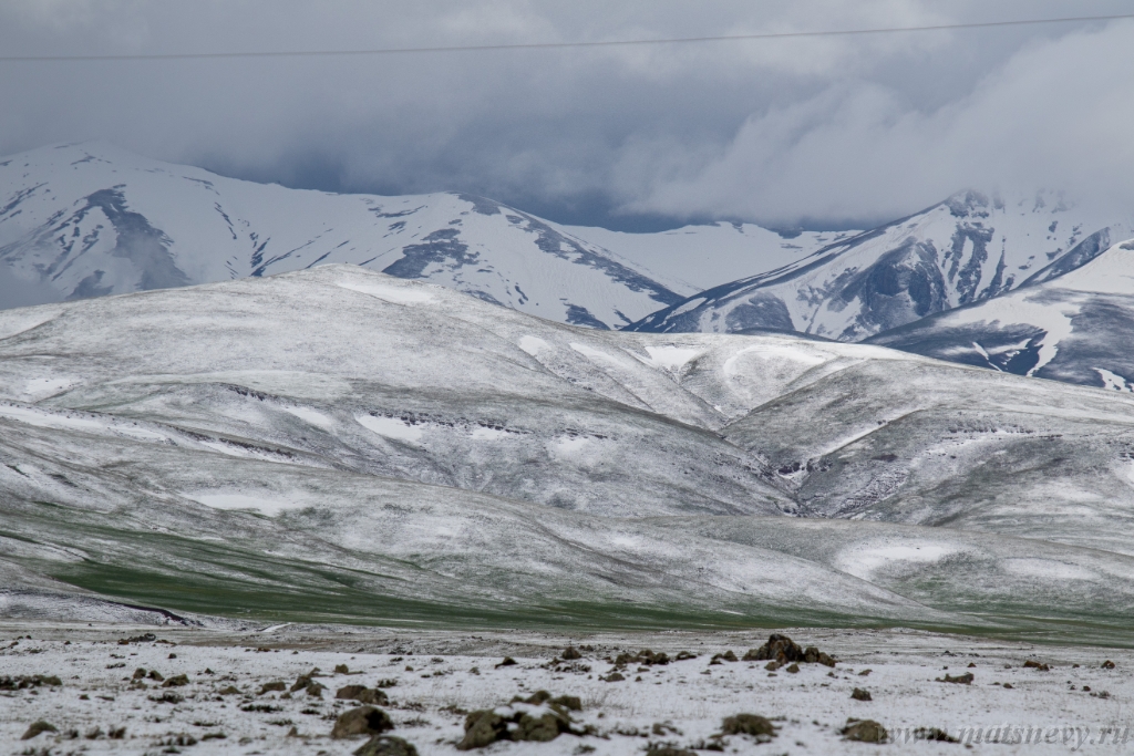 CA8A3319.JPG