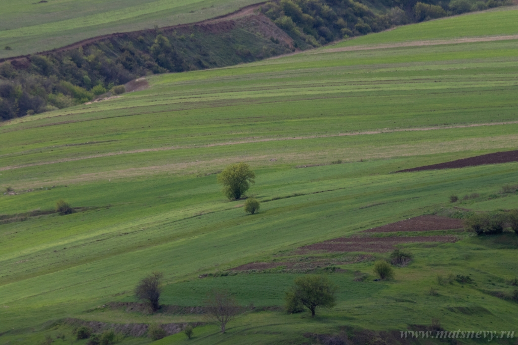 CA8A3749.JPG