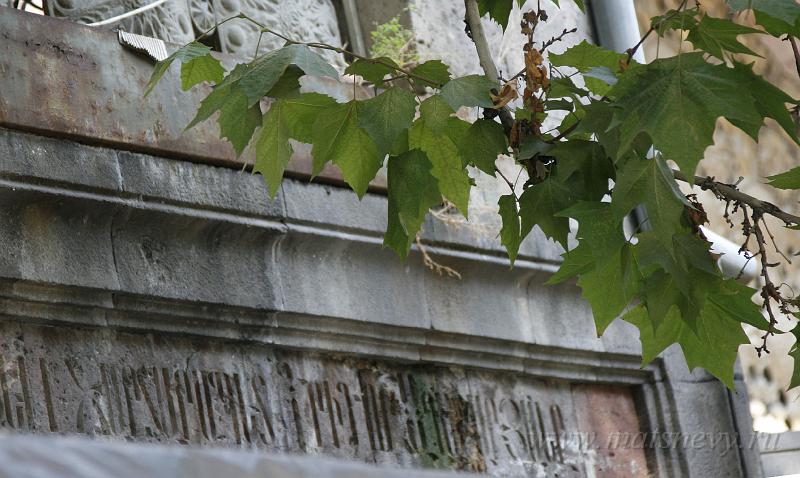 _MG_0896.JPG