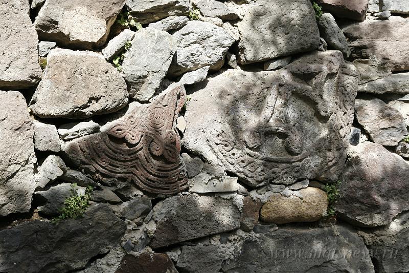 _MG_10803.JPG