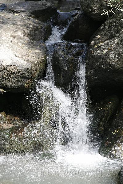 _MG_10974.JPG