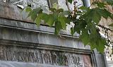 _MG_0896