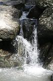 _MG_10974
