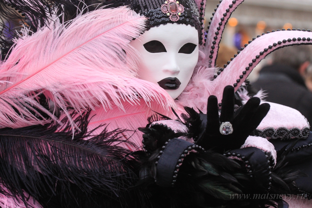 _MG_6362.jpg