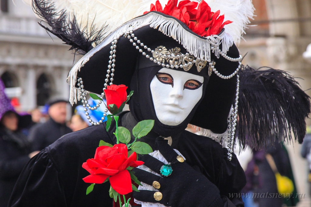 _MG_6973.jpg