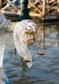 _MG_08971