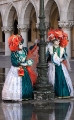 _MG_7971