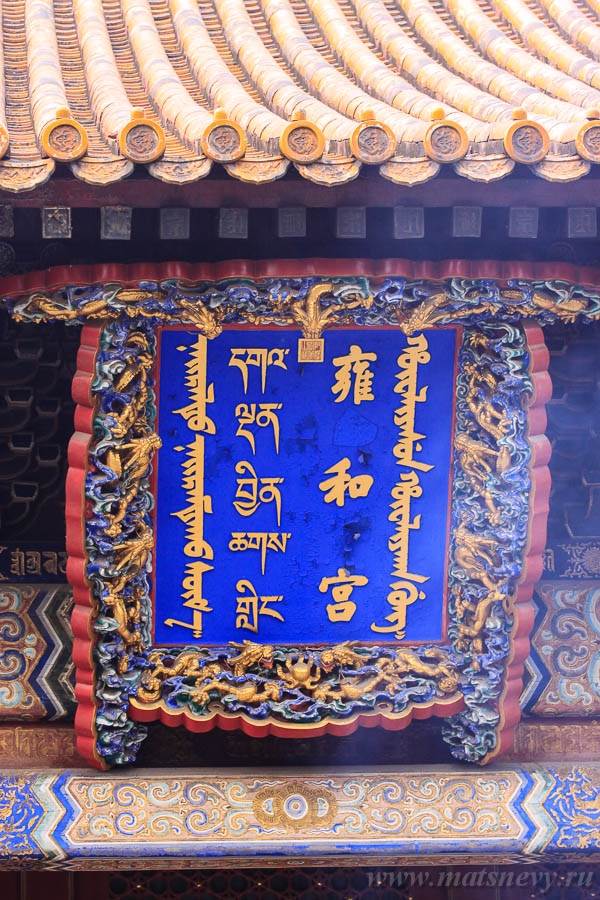 _MG_3971.JPG