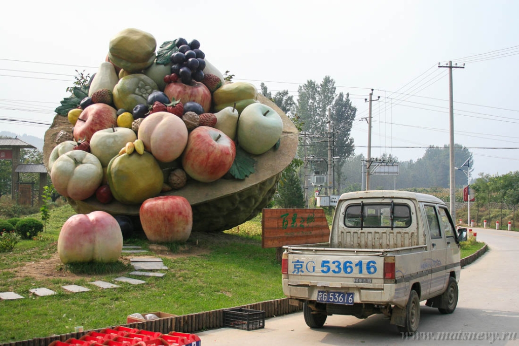 _MG_8515.JPG