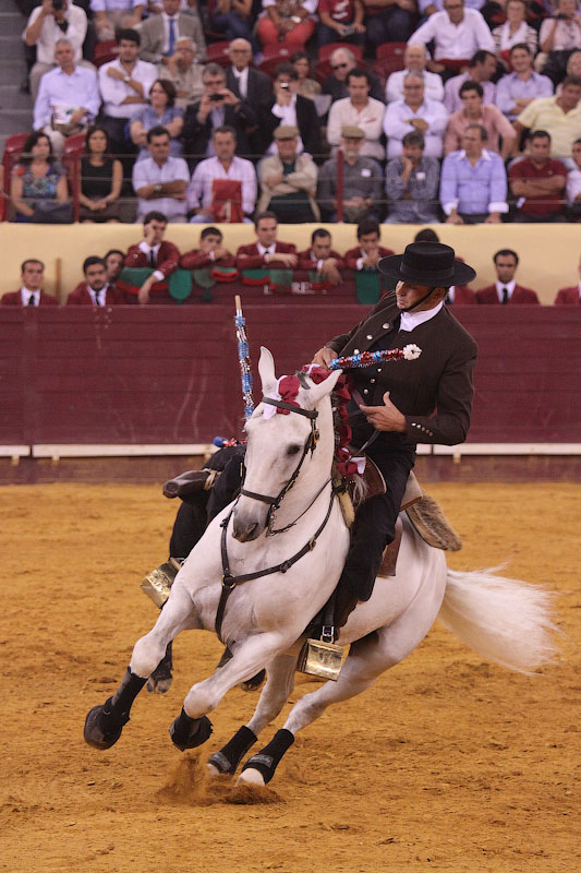 IMG_9451.jpg