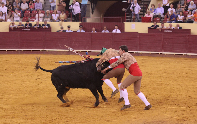 IMG_9505.jpg