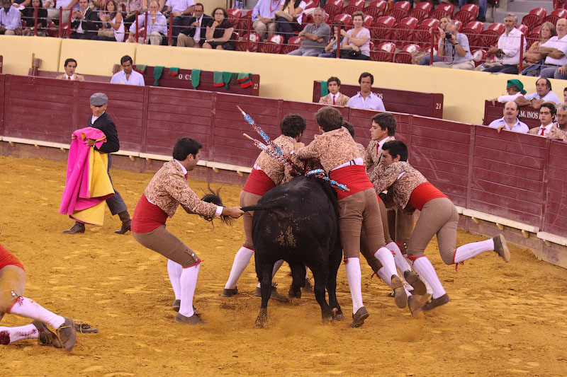 IMG_9509.jpg