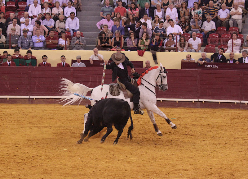 IMG_9618.jpg