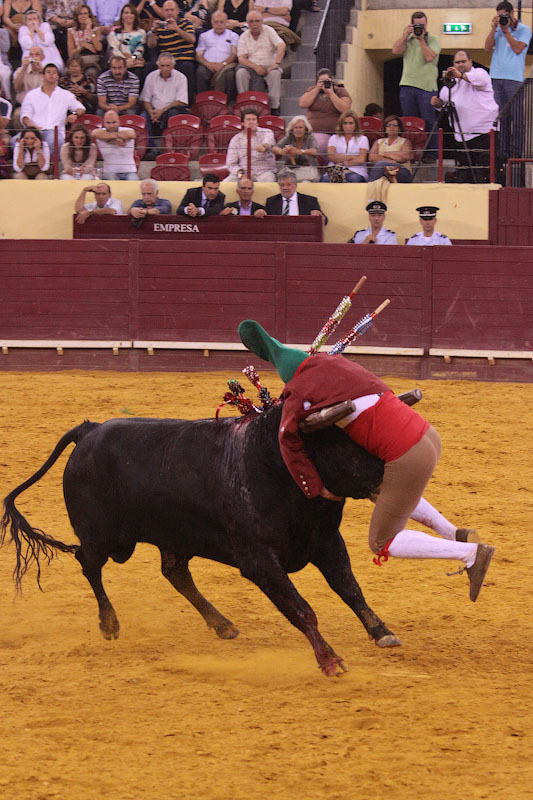 IMG_9705.jpg