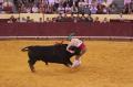 IMG_9953