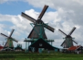 DSC02505