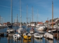 _MG_0965