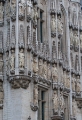 _MG_1515