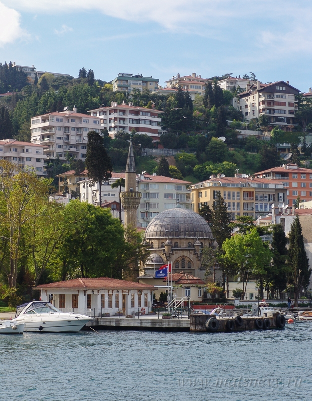 DSC07175.jpg