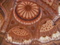 DSC07365