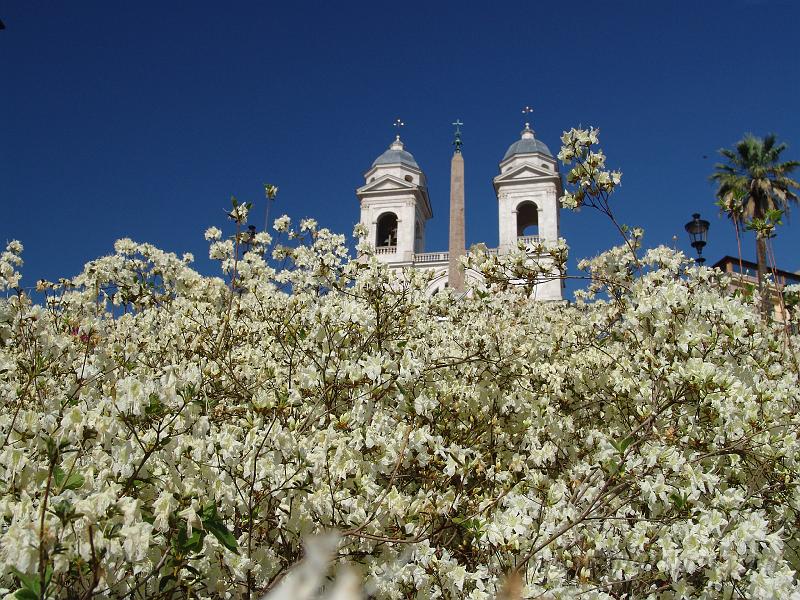 DSC01221.JPG
