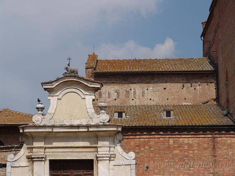 DSC01642.JPG