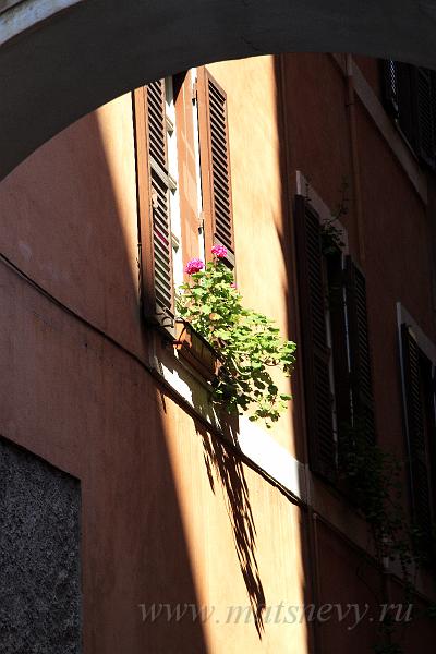 _MG_9504.JPG