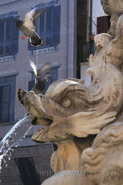 _MG_9513.JPG