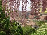 DSC01639