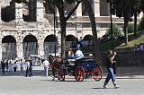 _MG_9438