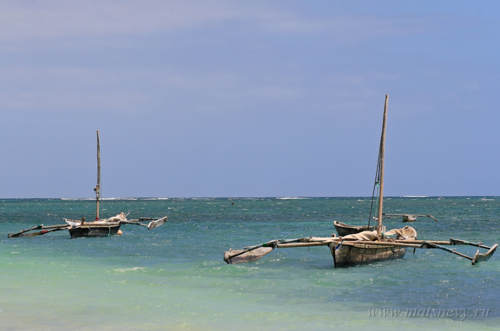 _MG_2103.JPG
