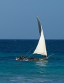 DSC03909