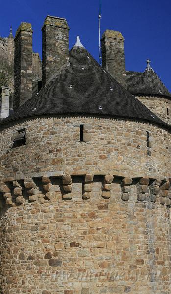 _MG_5438.JPG