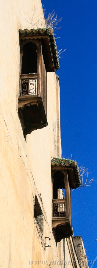 _MG_0175.jpg