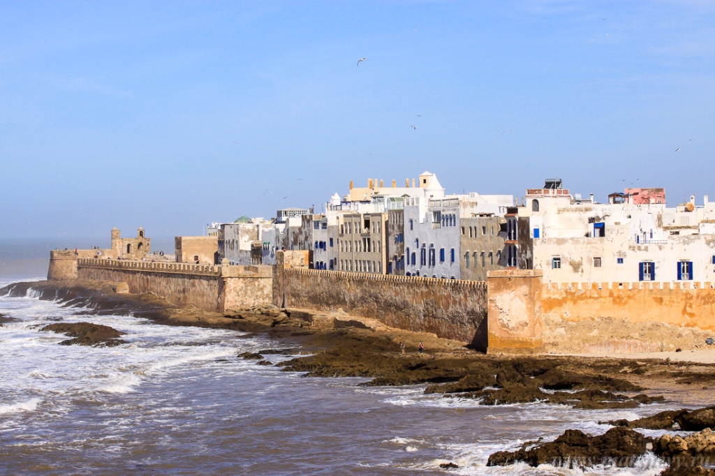 _MG_4432.jpg