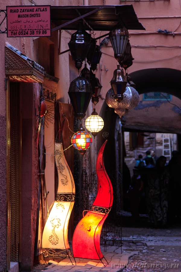_MG_4669.jpg
