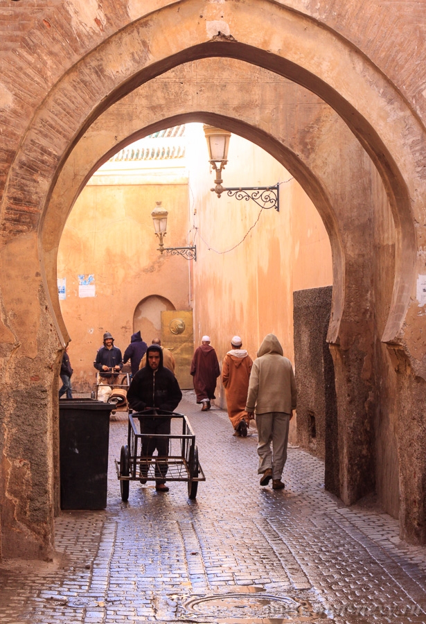 _MG_4713.jpg