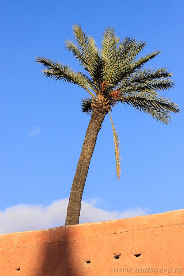 _MG_4965.jpg