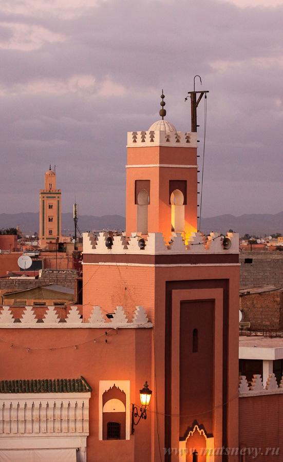 _MG_5054.jpg