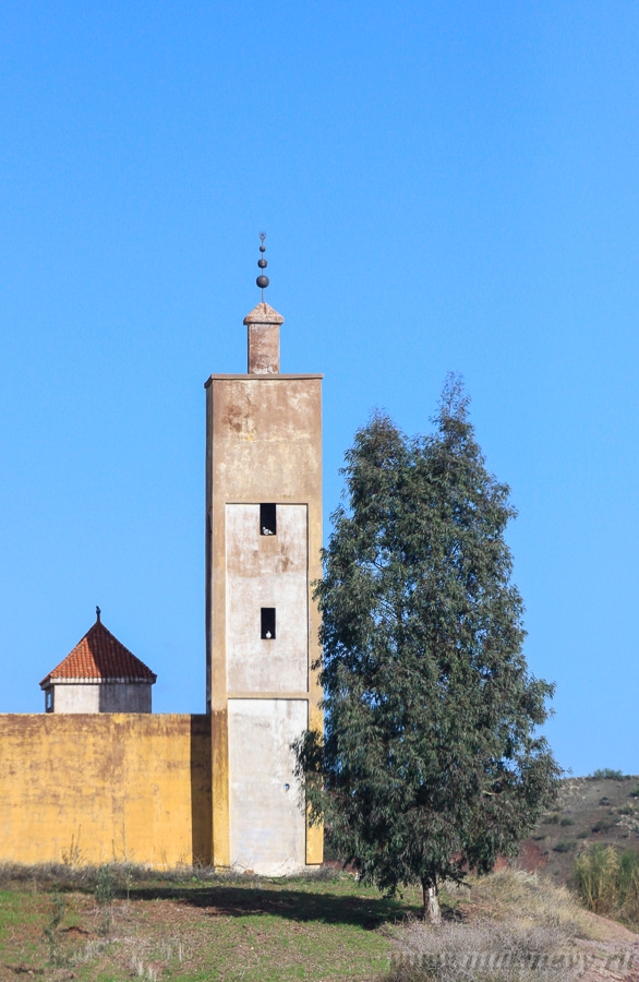 _MG_5169.jpg