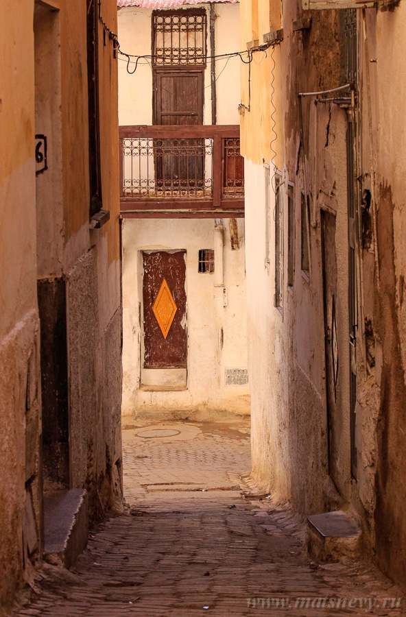 _MG_5227.jpg