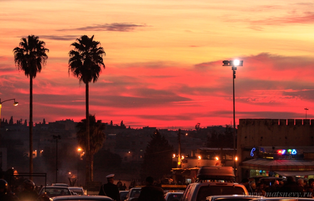_MG_5666.jpg