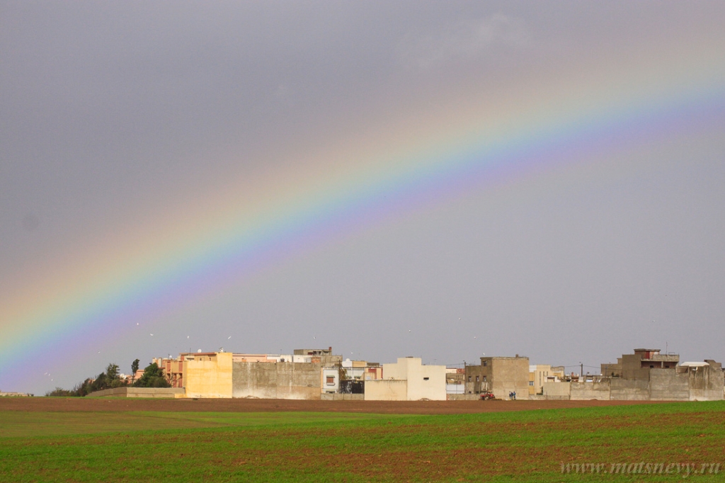 _MG_5705.jpg