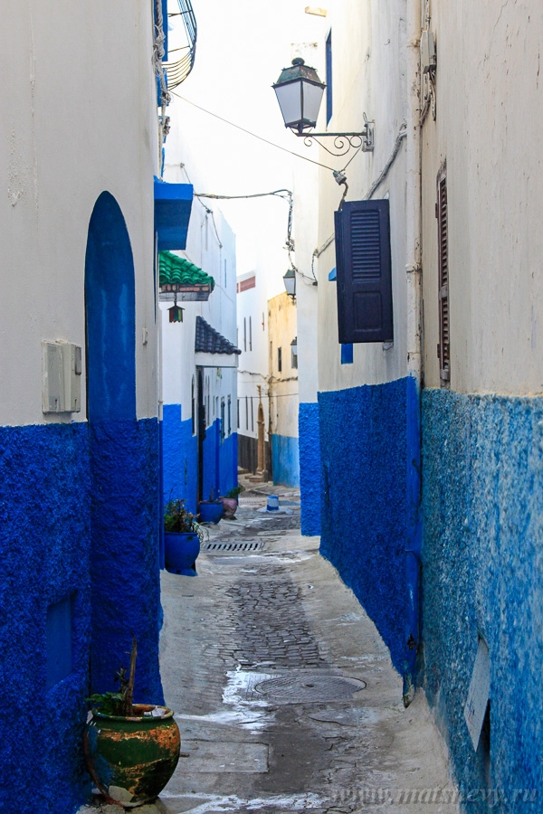 _MG_5726.jpg