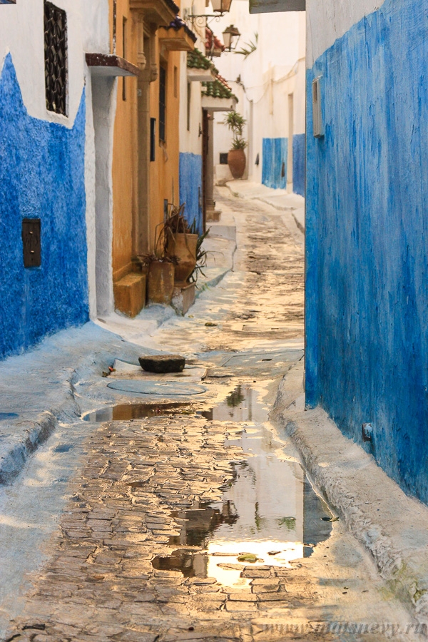 _MG_5741.jpg