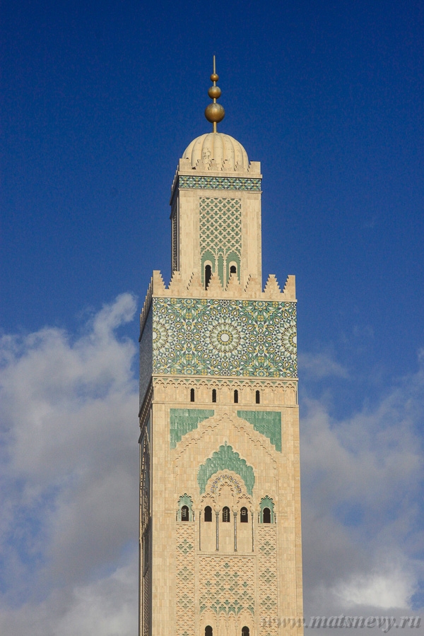 _MG_5795.jpg