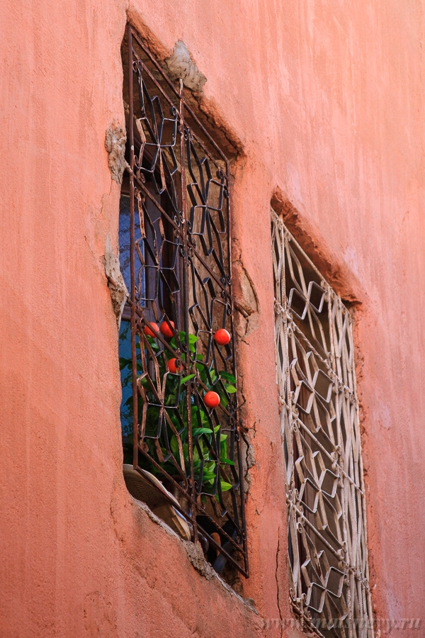 _MG_9547.jpg