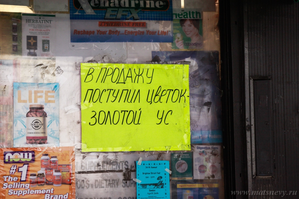 _MG_0179.jpg