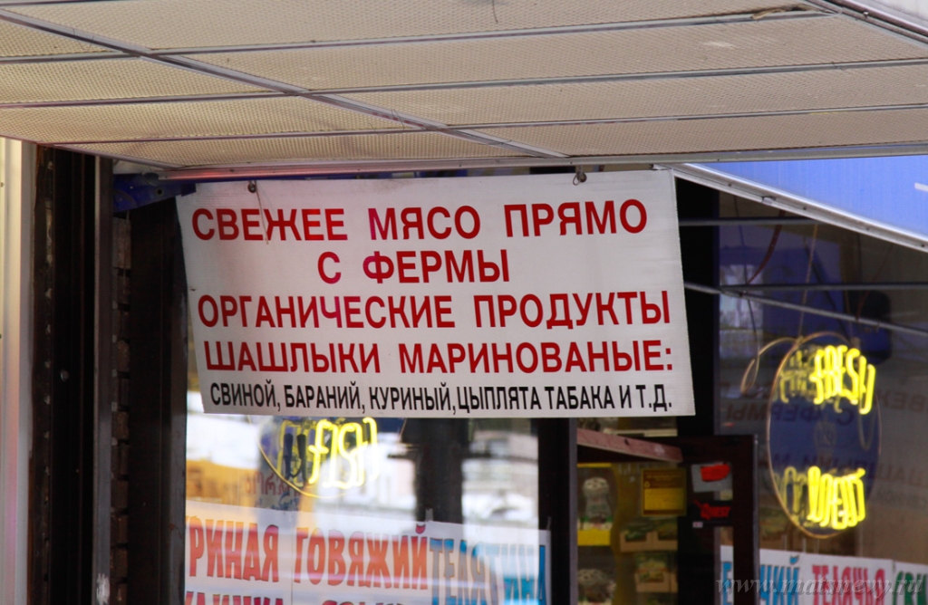 _MG_0180.jpg