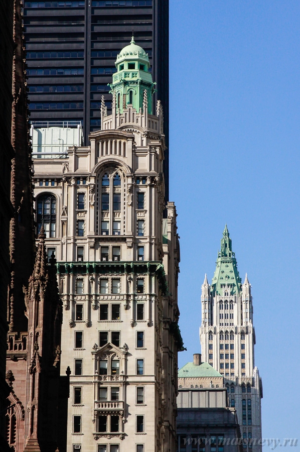_MG_1376.jpg